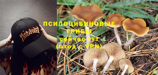 мескалин Алексеевка